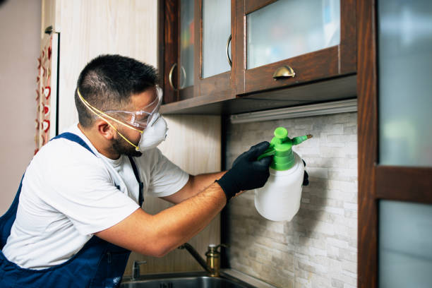 Pest Control for Restaurants in Gulf Shores, AL