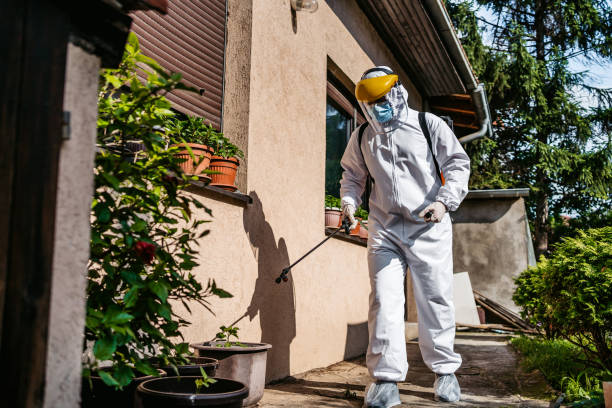 Pest Control Cost in Gulf Shores, AL
