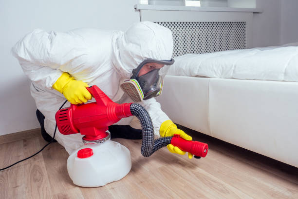 Insect Control in Gulf Shores, AL