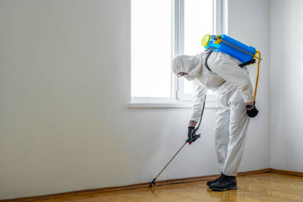 Best Wasp Removal Services  in Gulf Shores, AL