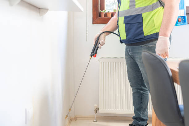 Best Affordable Pest Control Services  in Gulf Shores, AL