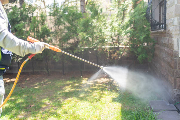 Wildlife Control Services in Gulf Shores, AL