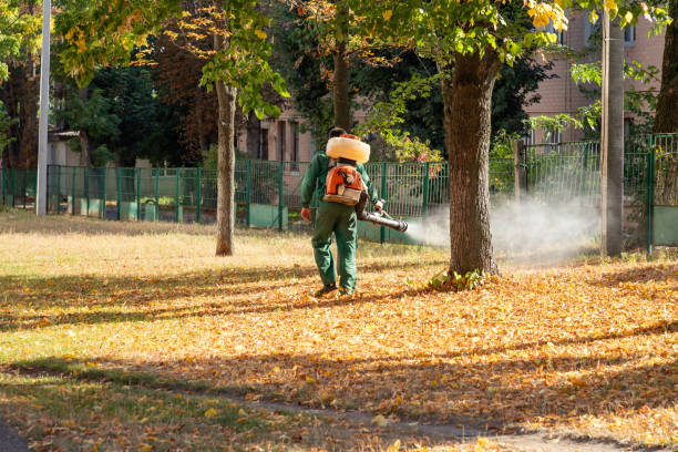 Best Residential Pest Control  in Gulf Shores, AL