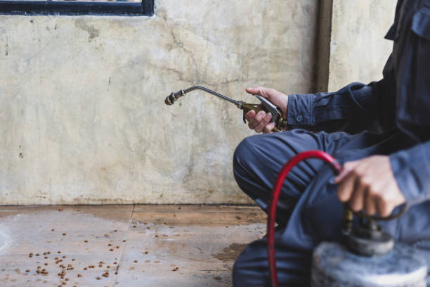 Best Commercial Pest Control Services  in Gulf Shores, AL